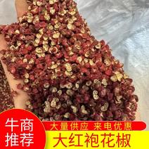 陇南大红袍花椒产地直发一手货源各种规格都有