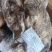 羊肉新鲜熟食现杀手抓羊肉白切羊腿肉真空带皮熟羊肉批发商用