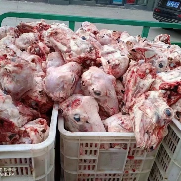 西北清真去皮羊头新鲜剥头带脑带舌带眼整个羔羊头肉整箱商用