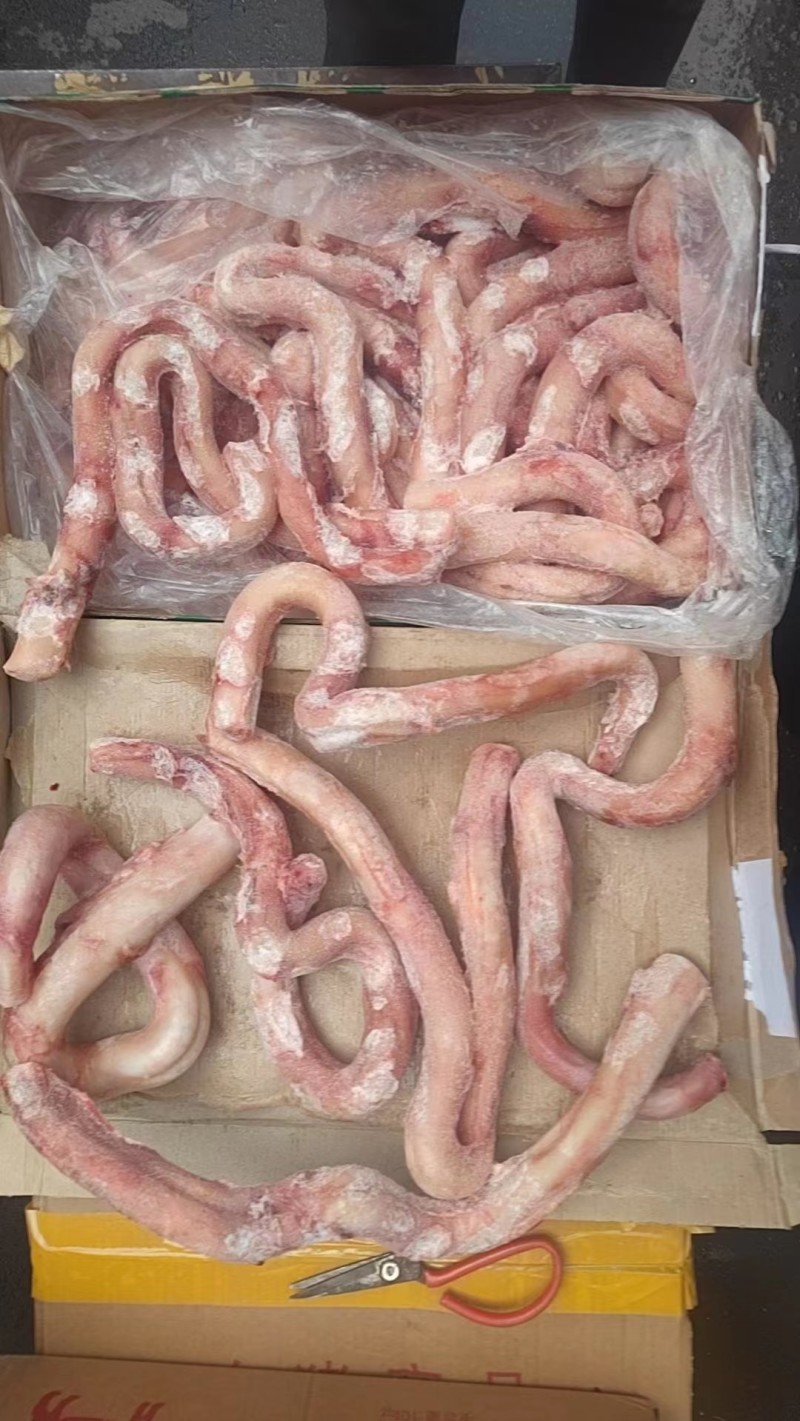 精修去皮牛鞭货源稳定诚信经营