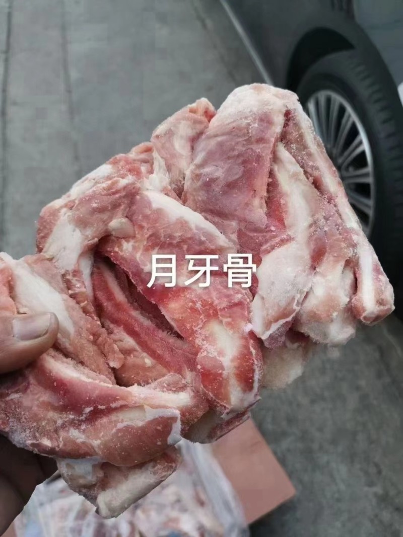 精品带肉月牙骨颜色新鲜欢迎询价