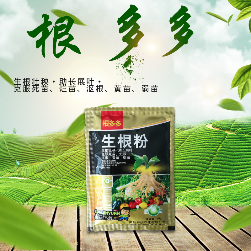 根多多生根粉生根壮苗抽枝展叶促生根系