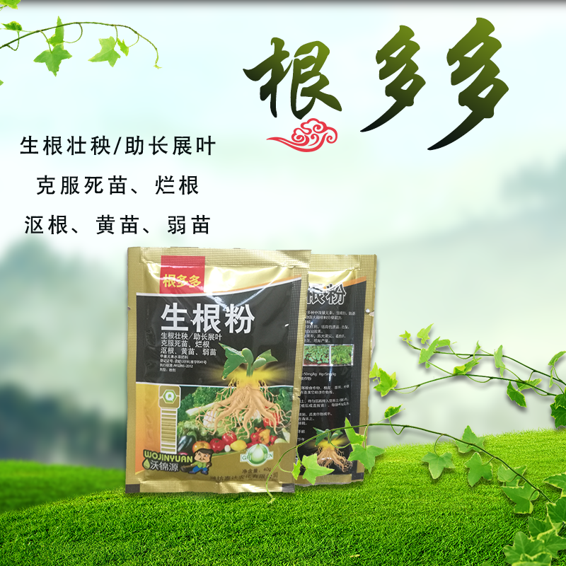 根多多生根粉生根壮苗抽枝展叶促生根系
