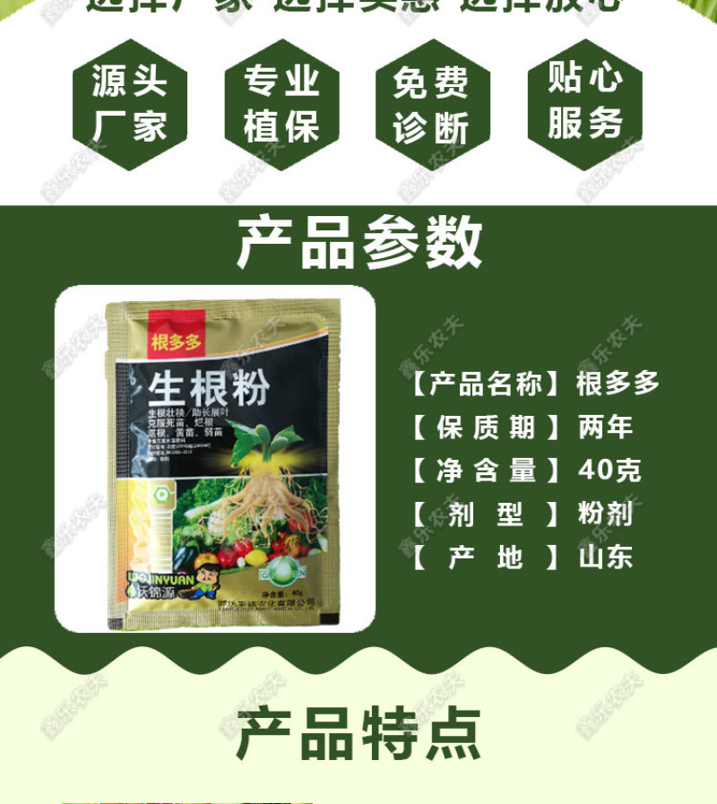 根多多生根粉生根壮苗抽枝展叶促生根系