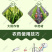 根多多生根粉生根壮苗抽枝展叶促生根系
