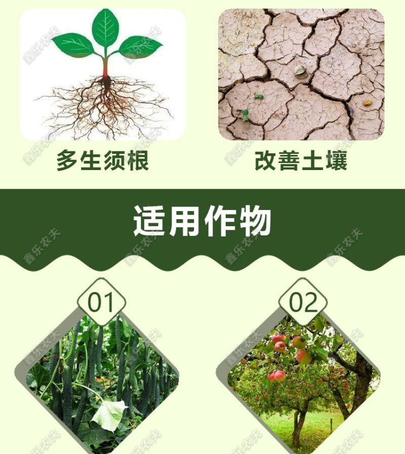 根多多生根粉生根壮苗抽枝展叶促生根系