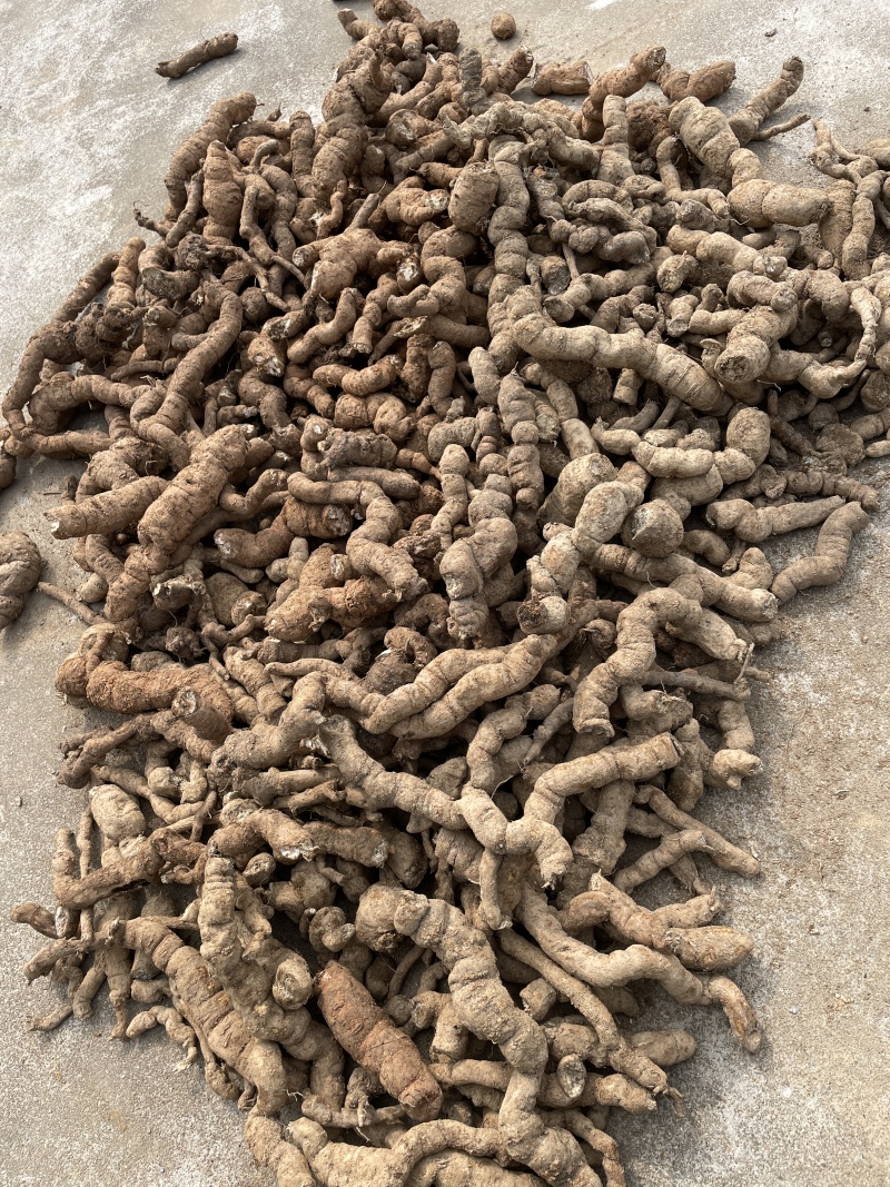 防己~野生粉防己干货-含药量高-长年供应，质量保证