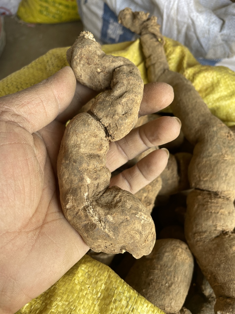 防己~野生粉防己干货-含药量高-长年供应，质量保证
