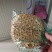 沂源县周村特产烧饼自产自销量大价优规格齐全电联