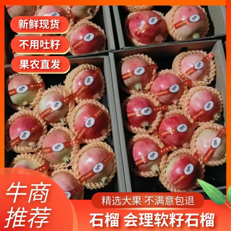 【石榴】仓配代发诚信经营精品二级果软籽石榴5斤装