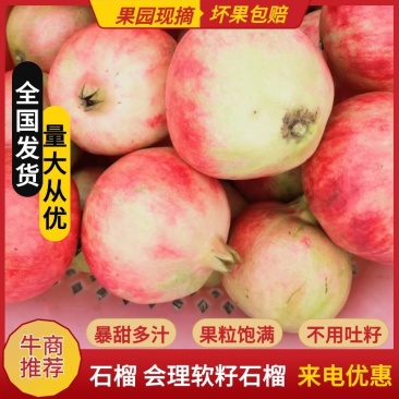 精品二级果石榴会理软籽石榴一件代发8斤包邮