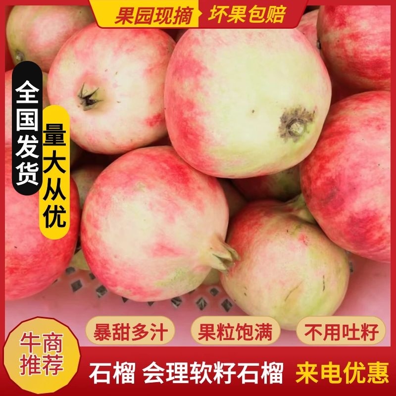 精品二级果石榴会理软籽石榴一件代发8斤包邮