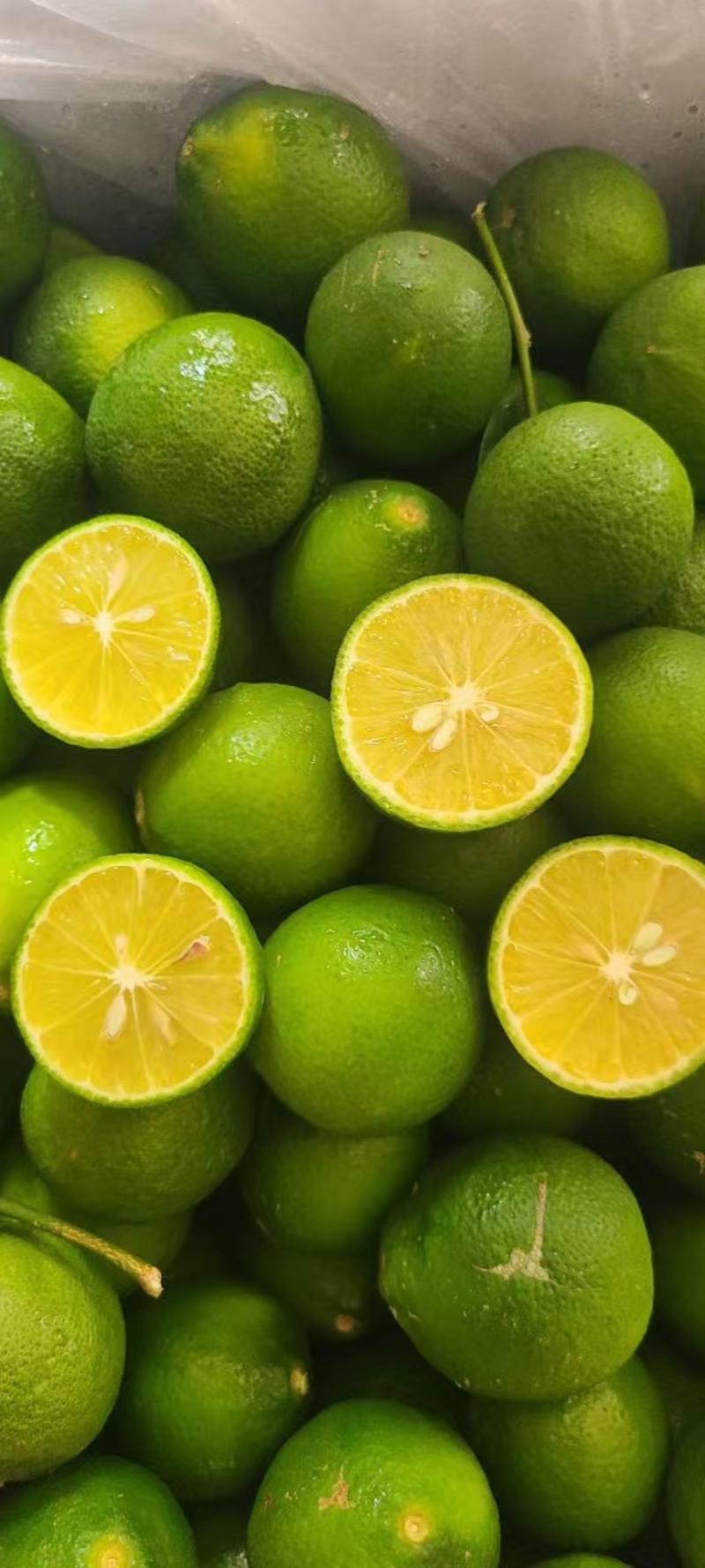 广东无籽香水柠檬果园质量稳定大量供应全国发货