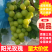 阳光玫瑰葡萄，5斤/10斤，一件代发，可全国发货