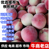 山东潍坊秋彤基地桃子大量上市一手货源价格便宜