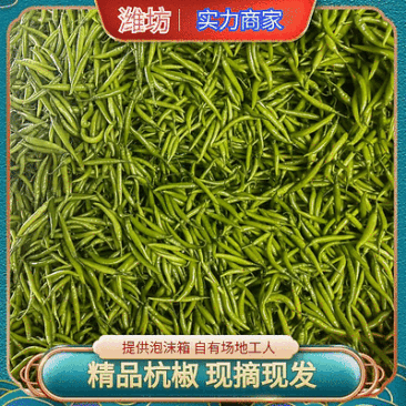 潍坊青州.杭椒.进口.国产.加工厂.电商.社区.商超