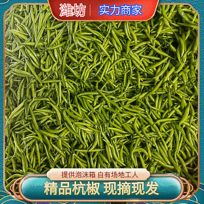 潍坊青州.杭椒.进口.国产.加工厂.电商.社区.商超