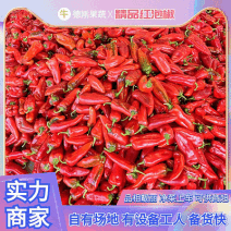 潍坊青州.红泡椒.泡椒.加工厂.批发.电商.社区团购
