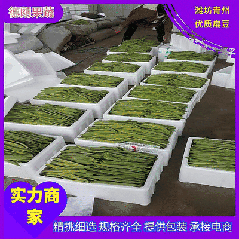 绿扁豆扁青芸豆营养丰富鲜嫩爽口品质保证欢迎选购。