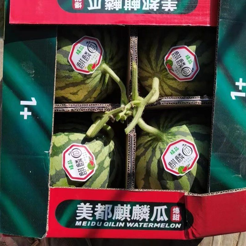 河南美都西瓜小薄皮大红壤全国代发产地直发质量三包报价真实