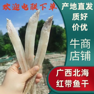 【红带鱼干】广西北海红带鱼干肉质细腻嫩滑刺少