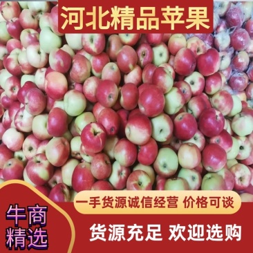 【精品】美八苹果质量保证价格优惠欢迎咨询合作