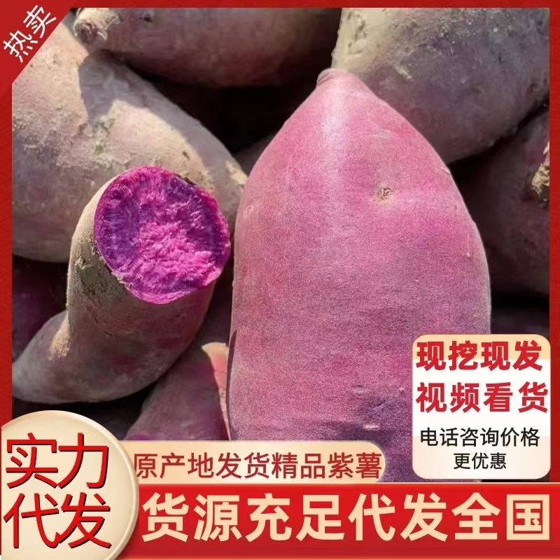紫薯宜城紫薯紫罗兰红薯电商货市场货批发全国