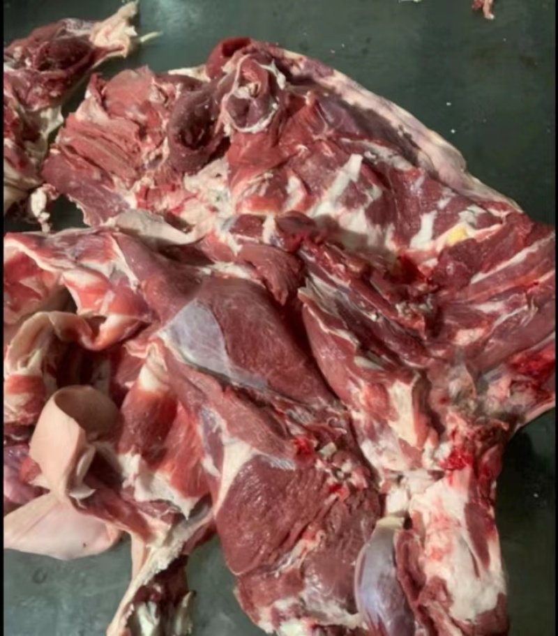 青海精品羊肉【羊羔肉】品质优先，假一赔十欢迎订购