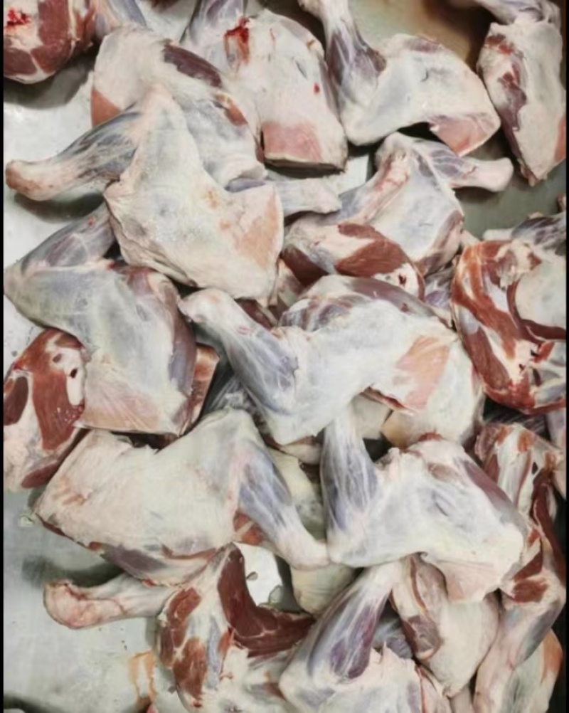青海精品羊肉【羊羔肉】品质优先，假一赔十欢迎订购