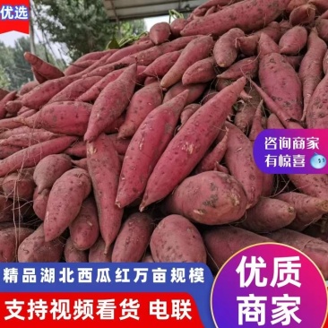 【实力】西瓜红红薯湖北襄阳红薯2025新薯一手货源量大从