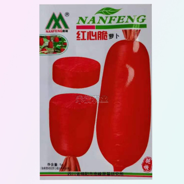 红皮红心红萝卜种籽子老品种红萝卜种子本地萝卜种子