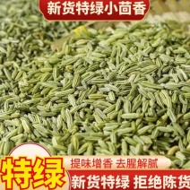 甘肃张掖精品【小茴香】对接电商市场商超等各类客户