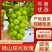 阳光玫瑰安徽砀山阳光玫瑰大量供应颗粒饱满香甜可口