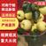 【精品】河南宁陵酥梨精品红酥梨基地直发诚信代办可视频看货