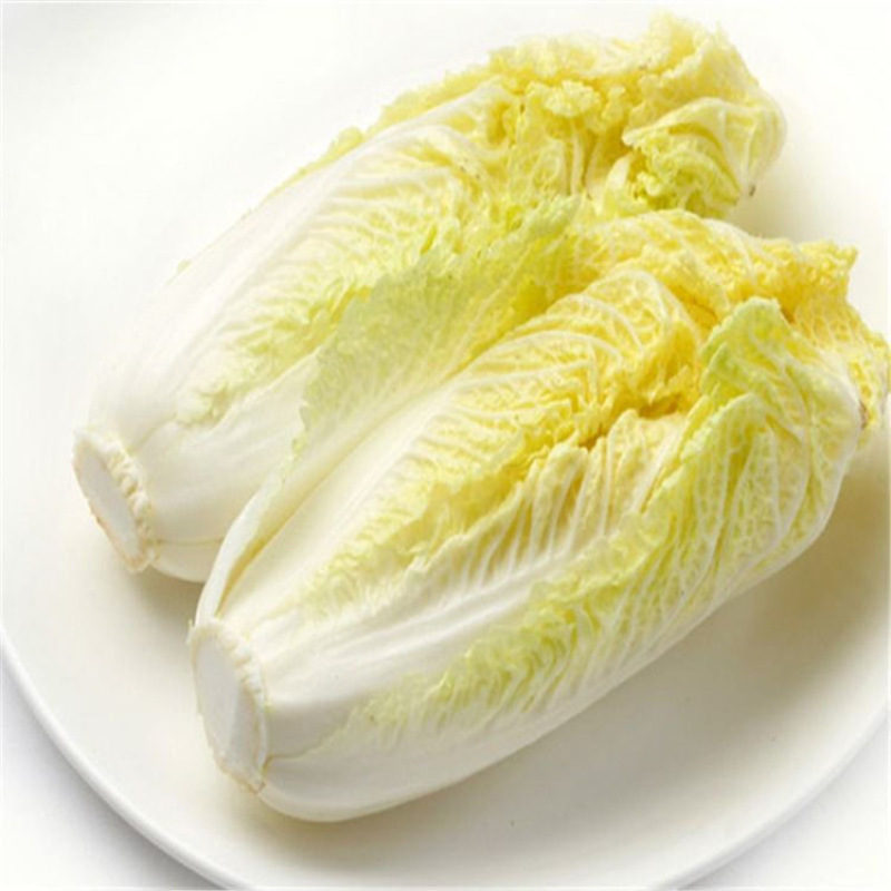 金童娃娃菜种子叶片薄无毛结球紧耐热耐湿容易种植优质良种