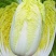 金童娃娃菜种子叶片薄无毛结球紧耐热耐湿容易种植优质良种