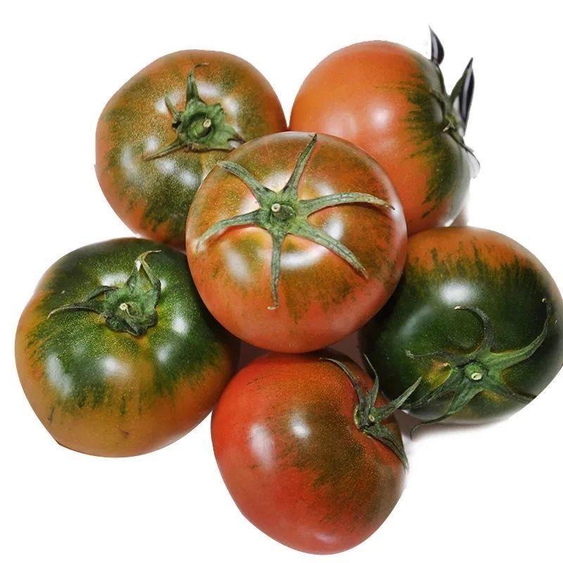 水果草莓番茄种子味道浓郁酸甜可口高产适应性强优质良种