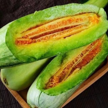 羊角蜜甜瓜种子肉厚多汁含糖量高酥脆可口适应性广