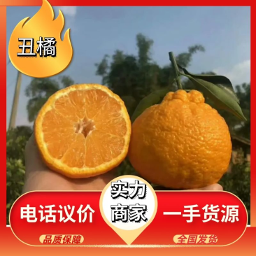 湖北丑橘皮薄多汁价格美丽个大口感好。欢迎咨询
