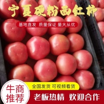 硬粉西红柿，宁夏西红柿，产地直发质量好，价格优电联采购