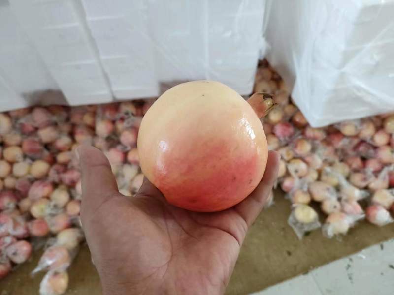 下架精品甜石榴大量上市甘甜多汁新鲜采摘欢迎来电咨询