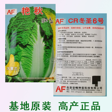 【原厂大包】四季上海青种子四季春季秋季油菜白菜种子蔬菜