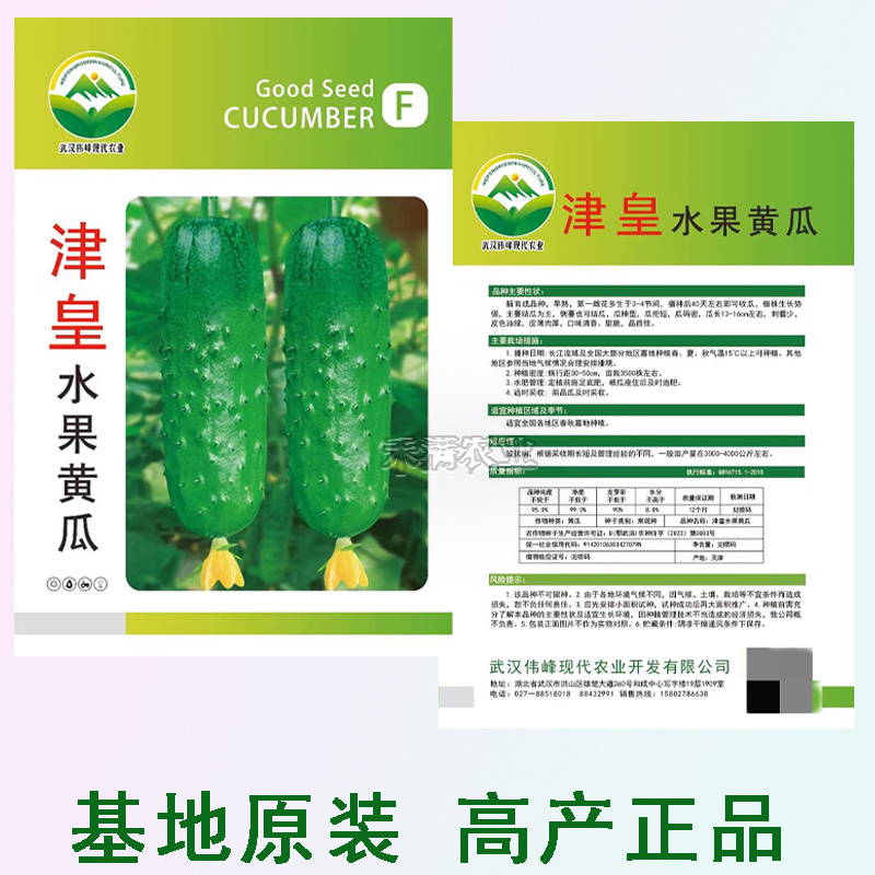 高产水果黄瓜种子四季水果黄瓜种籽旱黄瓜种孑旱黄瓜种子