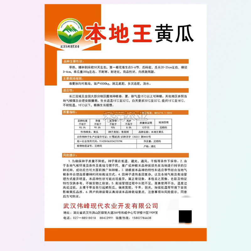 本地王黄瓜种子蔬菜种子水果黄瓜种籽大全黄瓜籽种旱黄瓜种子