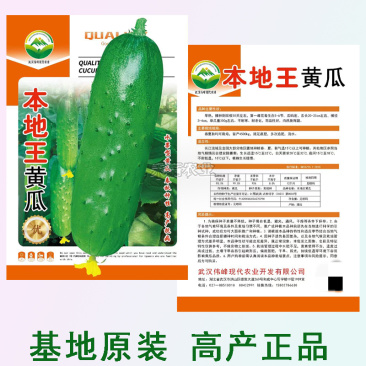 本地王黄瓜种子蔬菜种子水果黄瓜种籽大全黄瓜籽种旱黄瓜种子