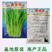绿梗白菜苔种子甜苔菜心籽甜脆多芽高产多芽味甜白菜苔种子