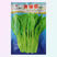 绿梗白菜苔种子甜苔菜心籽甜脆多芽高产多芽味甜白菜苔种子