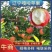 辽宁苹果嘎啦苹果产地直发货源充足大量供应欢迎致电
