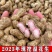精品鲜花生电商货市场货加工厂货颗粒饱满带壳花生大量供应