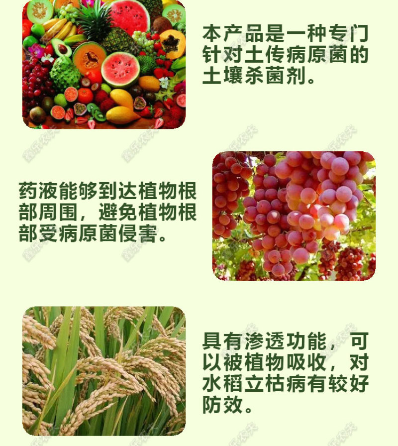 甲霜恶霉灵3%根腐猝倒死棵烂苗茎基腐软腐